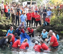 Group of people gathered to release a rehabbed manatee at Three Sisters Springs