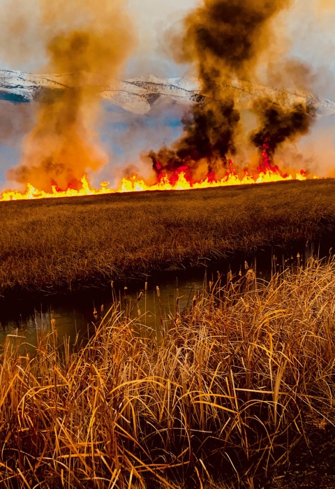Flames and smoke rise up with mountain in background and dry tan grass in foreground