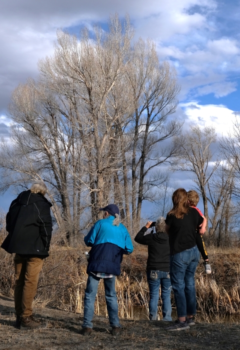 locals looking at birds in the San Luis Valley. background of cottonwood trees and a cloudy, blue sky.