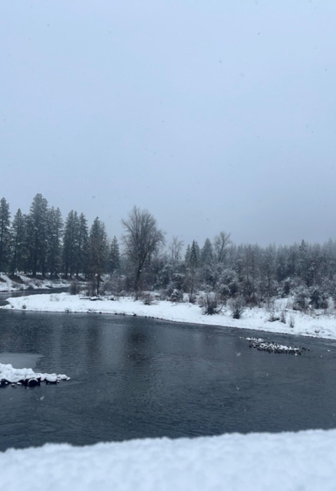 A creek with frozen edges and snow-covered riverbanks