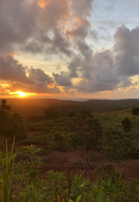 Sun sets over the savanna habitat in the Mariana Islands