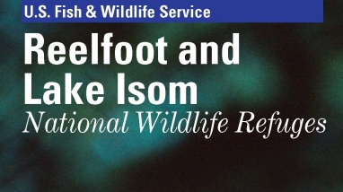 An image of the cover for the general brochure.