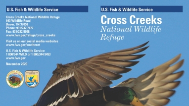 An image of the cover for the refuge brochure.