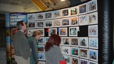 Three people look at the Junior Duck Stamp Art Exhibit