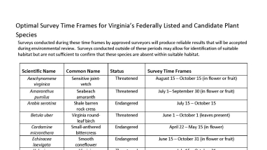 This is an image of the guideline document for optimal time frames in which to survey federally listed and candidate plant species in Virginia. This list contains the dates when surveys for each referenced species are optimal in Virginia and includes an explanation as to why it's optimal during this time (in flower or fruit, leaves present, period of low water).