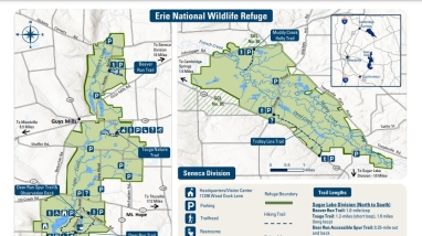 This document is the 2024 update to Erie NWR's former brochure which was published in February 2016 and is out of print. The 2024 brochure is a 2-page tearsheet, tailored to provide visitors with information on refuge trails, rules & regulations, and contact information. On the back side is a detailed map with the locations of trails and amenities displayed across the refuge's two divisions.