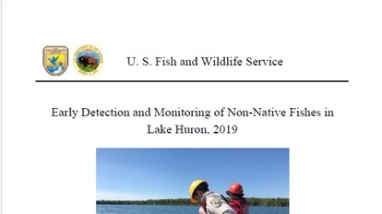report cover