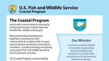 First page of the Coastal Program brochure