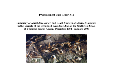 III.A.1.k Summary of Aerial, On-Water, and Beach Surveys of Marine Mammals in the Vicinity of the Grounded Selendang Ayu on the Northwest Coast of Unalaska Island, Alaska, December 2004 - January 2005