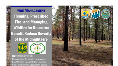 Thinning, Prescribed Fire, and Managing Wildfire Handout