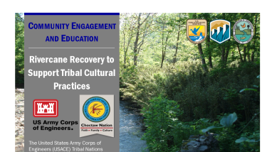 Rivercane Recovery for Tribal Practices Handout