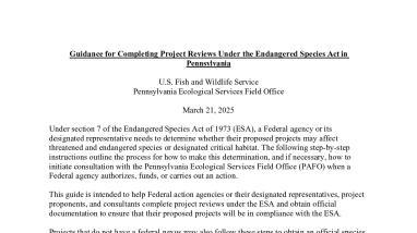 Guidance for Completing Project Reviews at PA the Field Office