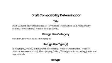 Bombay Hook NWR Draft Compatibility Determination for Wildlife Observation and Photography