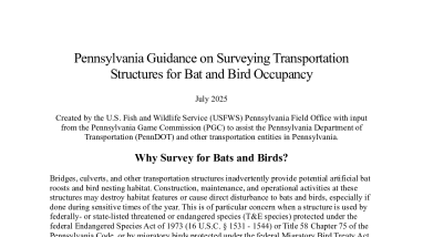 Pennsylvania Guidance on Transportation Structure Bat Bird Surveys