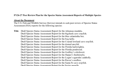 FY26 Peer Review Plan for the Species Status Assessment Reports of Multiple Species