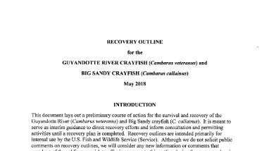 Crayfish recovery guidelines