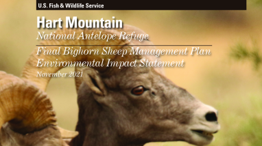 Hart Mountain National Antelope Refuge Final Bighorn Sheep Management Plan and EIS.pdf