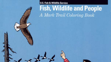 Mark_Trail_CB.pdf