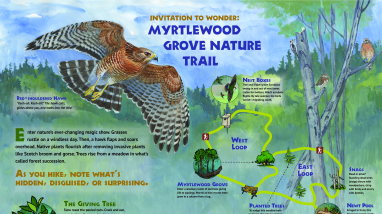 Myrtlewood Grove Nature Trail Welcome Panel