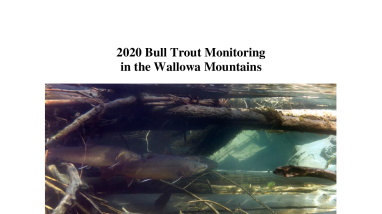 NPT Bull Trout Monitoring Report 2020 - submitted 2021-03-31.pdf