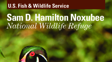 Sam D. Hamilton Noxubee NWR General Brochure June 2012