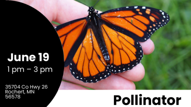 Tamarac National Wildlife Refuge Pollinator Palooza Event Flyer