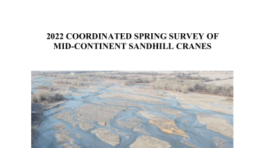 Coordinated Spring Survey Of Mid-Continent Sandhill Cranes 2022
