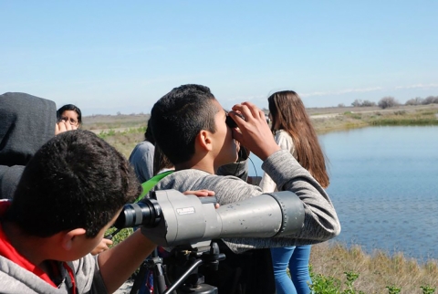Six young people stand beside a refuge wetland pond. Two are looking out over the pond through binoculars and another is using a spotting scope.