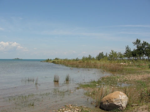 Harbor Island shoreline.