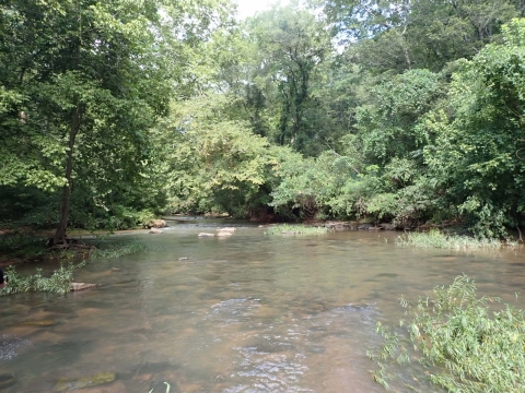 Goodwin's Mill site ten years after removing the dam.
