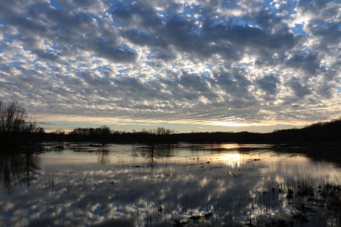 The sun setting over Rockhouse Marsh