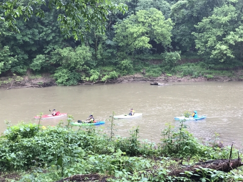 Four kayakers on the West Fork River, WV