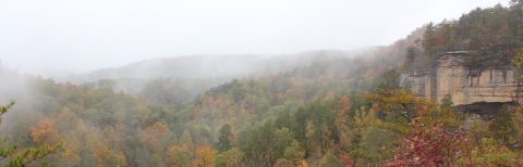 Pogue Creek Canyon State Natural Area in Tennessee