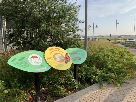 Monarch Waystation