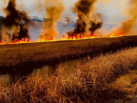 Flames and smoke rise up with mountain in background and dry tan grass in foreground