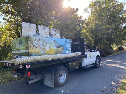 Fish distribution truck with tank wrapping