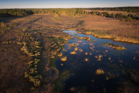 aerial view of a saltmarsh