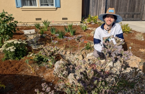 a man wearing a wide brimmed hat squats among plants in a front yard.
