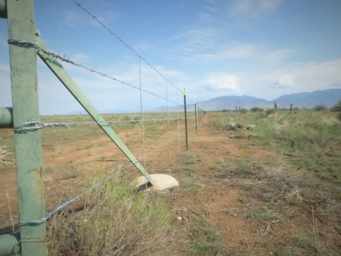 A fence on a grassland