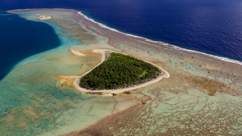 Aerial view of Rose Atoll NWR showing the greenery of the atoll's dense vegetation and shallow lagoon around it..