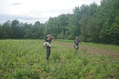 Two individuals conversing in a field surrounded by trees