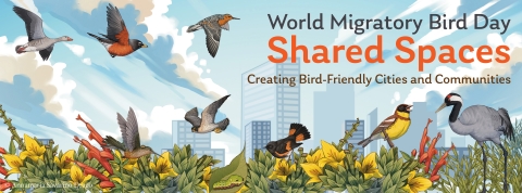 Artwork for World Migratory Bird Day showing a city in the background with eight different birds in the foreground