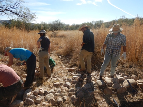 Five volunteers work in a grassland standing on rocks