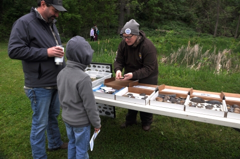 A U.S. Fish and Wildlife Service biologist displays different mussel shells on a table for environmental education for children.