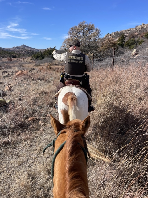 a law enforcement office on horseback ahead leads a horse with the photographer