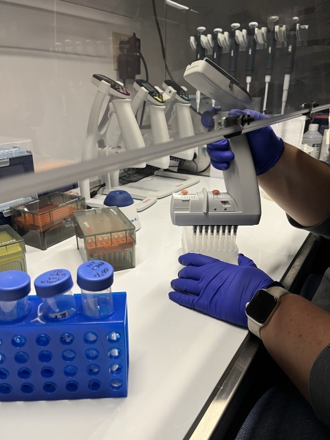 Sam Silverbrand using ethanol wash to rinse metabarcoding samples of primer dimers and algal eDNA.