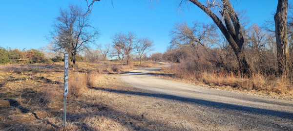 Gravel path driving tour with trees and piles on either side.