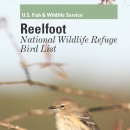 An image of the cover for the bird brochure.