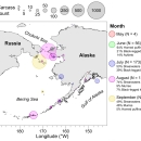 Seabird die-off map