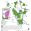 White-Tailed Deer Hunting Regulations/Montezuma NWR